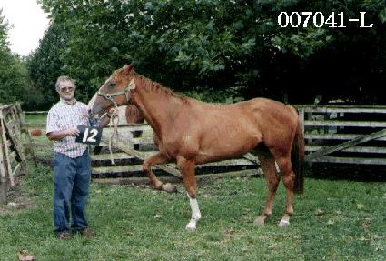 ���� ����