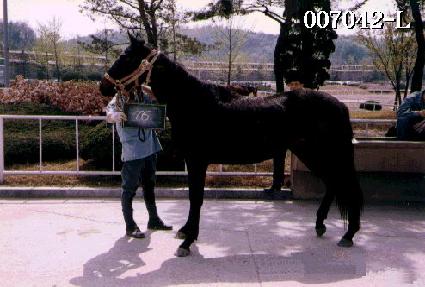 �¸��� ����