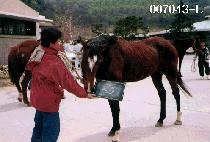 ��� (DAE MYEONG) ����