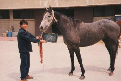 û��� ����