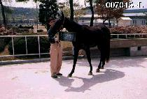 ����� (MAN CHOOL SAN) ����