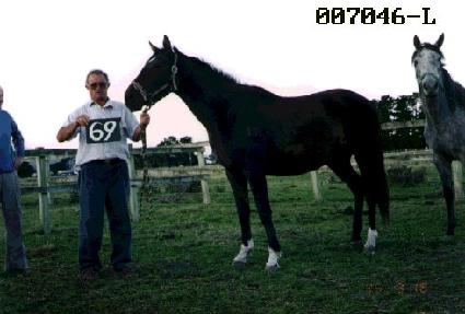 ���μ� ����