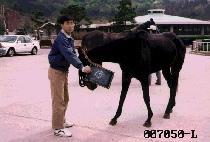 û��ȣ (CHEONG SAN HO) ����