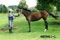 ������ (KKUJUNI) ����