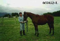 ��� (BIG BANG) ����