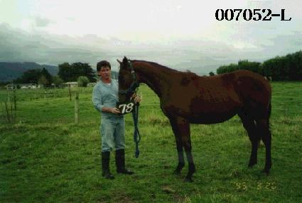 ��� ����