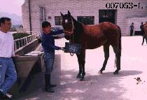 �¾翭 (TAE YANG YEOL) ����