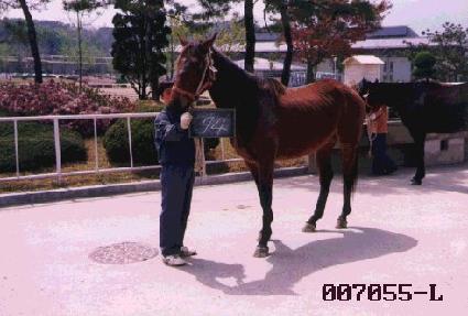 ū�ҿ� ����