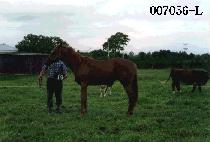 ������Ʈ (ONE BEST) ����