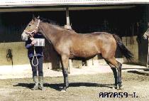 �׷����� (GRAND HILL) ����