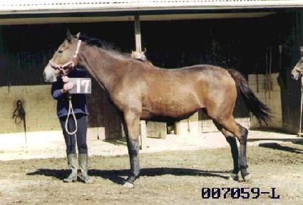 �׷����� ����