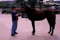 Ź���Ѽ��� (TAGWOLHAN SEONTAEK) ����