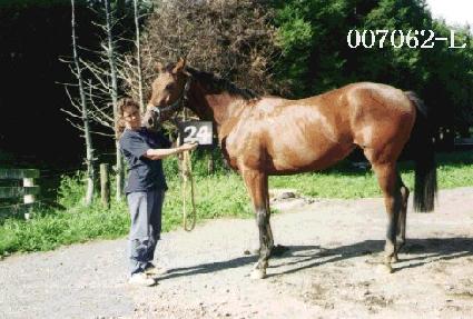 �Ŀ�ŷ ����