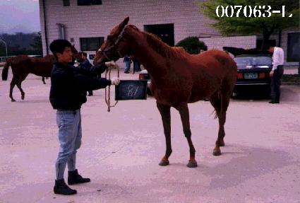 �����̱� ����