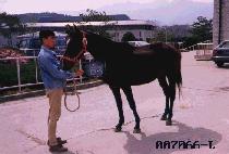 �糪�� (DANG NARU) ����