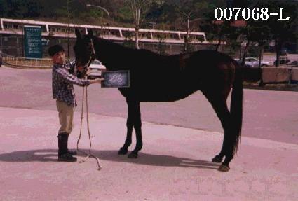 ��ǳ ����