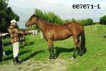 ����� (DAE JANG SANG) ����