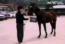 ������ (BINNANE) ����