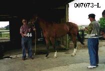 �ι�� (DUBAERO) ����