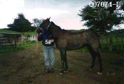 õ�� ����