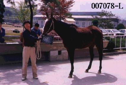 �п��� ����