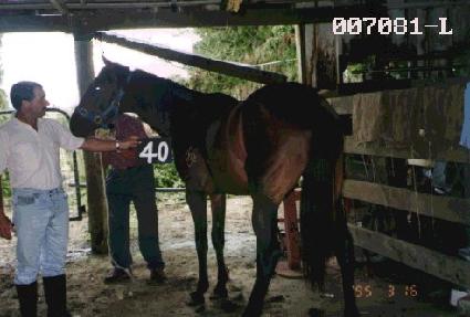 �˸� ����