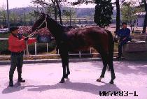 �ֿ�� (CHOE WU SU) ����