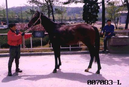 �ֿ�� ����