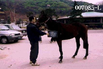 �Һ� ����