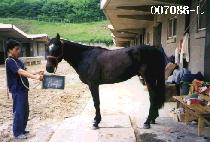 �̽�Ÿ�� (MR. BIG) ����