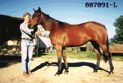 �������� ����