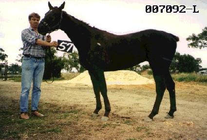 �ݹ��� ����