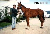 ��Ÿ����Ʈ (STARGATE) ����