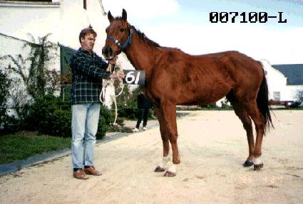 ��Ÿ����Ʈ ����