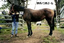 ����Ʈ (GHOST) ����