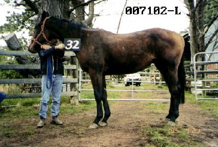 ����Ʈ ����