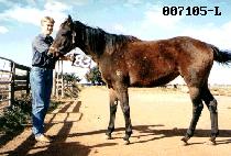 ������ (JI GU WON) ����