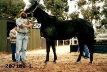 ��Ƽ (YETI) ����