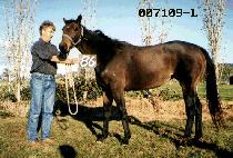 ������ (BLACK WON) ����