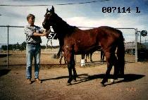 ��õ�� (OK CHEON SA) ����