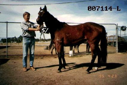 ��õ�� ����