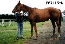 �ݻ� (GEUM SAEM) ����