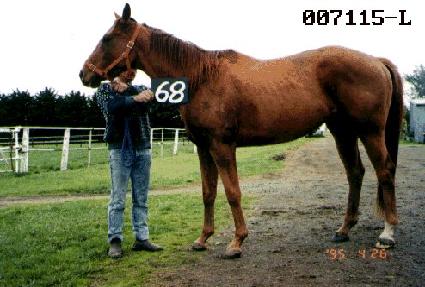 �ݻ� ����