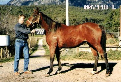 ��Ž�� ����