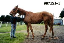 ȭ�� (HWA YANG) ����