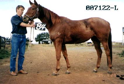 �ɺô� ����