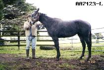 ȯ�� (HWAN SANG) ����