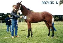 ���� (DEOK GWANG) ����