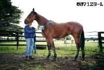 �ÿ¼� (SION SEONG) ����