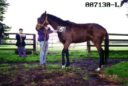 �����ٶ� ����